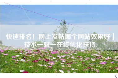 快速排名！网上发帖哪个网站效果好｜技术一对一在线优化扶持