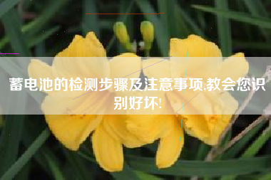 蓄电池的检测步骤及注意事项,教会您识别好坏!