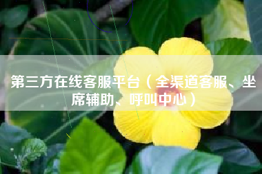 第三方在线客服平台（全渠道客服、坐席辅助、呼叫中心）