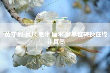 英寸,码,英尺,毫米,厘米,米单位转换在线计算器