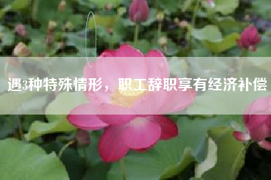 遇3种特殊情形，职工辞职享有经济补偿