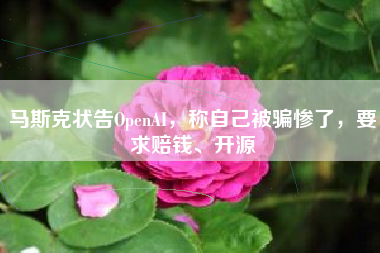 马斯克状告OpenAI，称自己被骗惨了，要求赔钱、开源