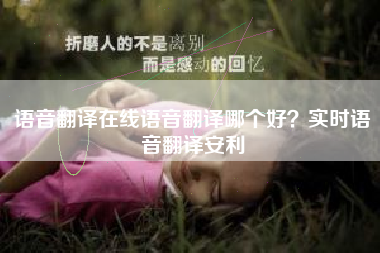 语音翻译在线语音翻译哪个好？实时语音翻译安利