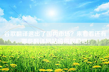 谷歌翻译退出了国内市场？来看看还有哪些翻译网站值得收藏吧！