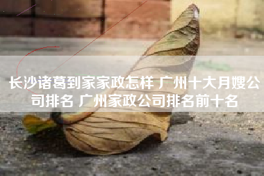 长沙诸葛到家家政怎样 广州十大月嫂公司排名 广州家政公司排名前十名