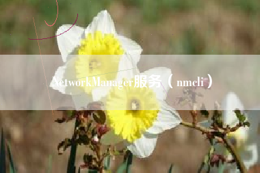NetworkManager服务（nmcli）