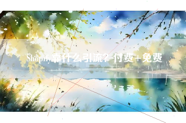 Shopify靠什么引流？付费+免费
