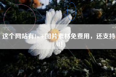 这个网站有1w+图片素材免费用，还支持AI！