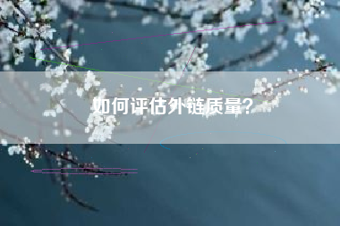 如何评估外链质量？