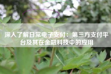 深入了解日常电子支付：第三方支付平台及其在金融科技中的应用
