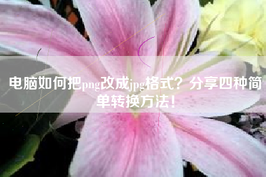 电脑如何把png改成jpg格式？分享四种简单转换方法！