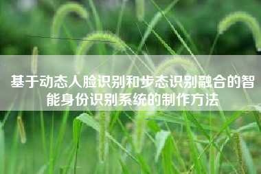 基于动态人脸识别和步态识别融合的智能身份识别系统的制作方法