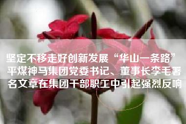 坚定不移走好创新发展“华山一条路” 平煤神马集团党委书记、董事长李毛署名文章在集团干部职工中引起强烈反响