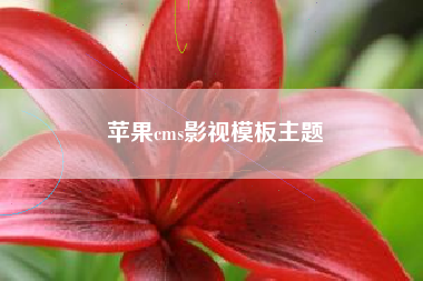 苹果cms影视模板主题