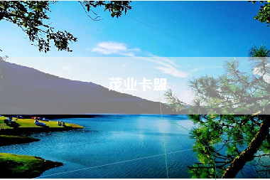茂业卡盟