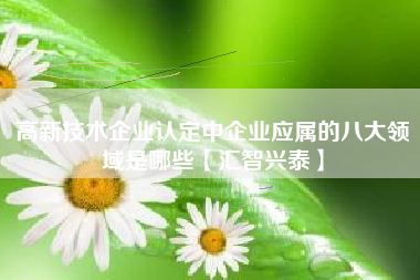 高新技术企业认定中企业应属的八大领域是哪些【汇智兴泰】
