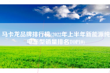 马卡龙品牌排行榜(2022年上半年新能源纯电车型销量排名TOP10)