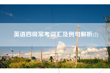 英语四级常考词汇及例句解析(2)