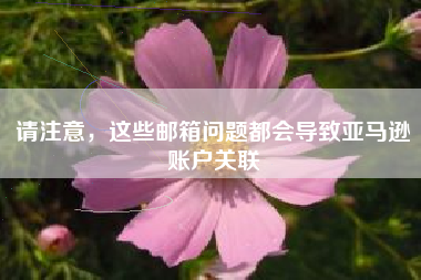 请注意，这些邮箱问题都会导致亚马逊账户关联