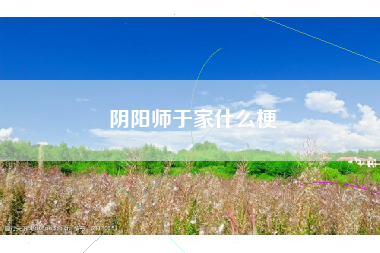 阴阳师于家什么梗