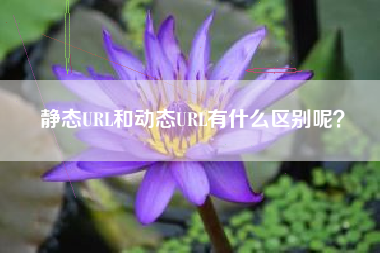 静态URL和动态URL有什么区别呢？