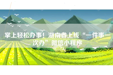 掌上轻松办事！湖南省上线“一件事一次办”微信小程序
