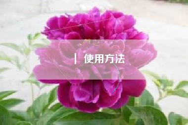 ｜ 使用方法