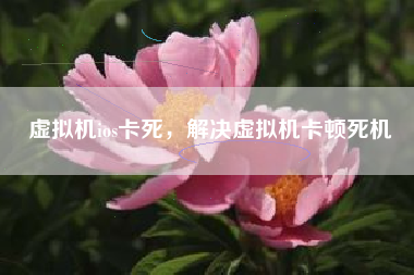 虚拟机ios卡死，解决虚拟机卡顿死机
