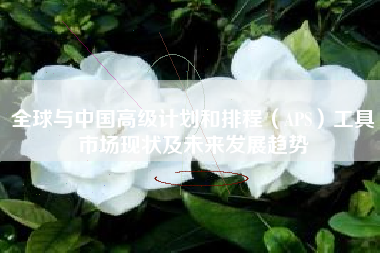 全球与中国高级计划和排程（APS）工具市场现状及未来发展趋势
