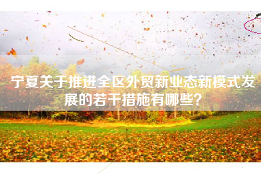 宁夏关于推进全区外贸新业态新模式发展的若干措施有哪些？
