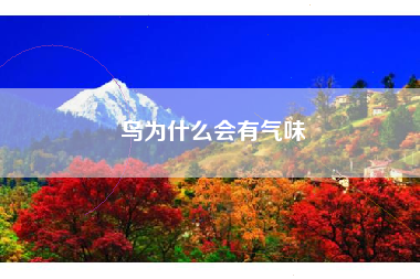 鸟为什么会有气味