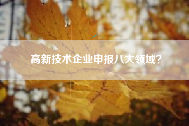 高新技术企业申报八大领域？