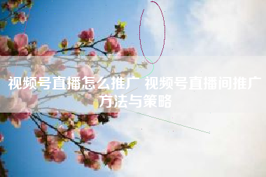 视频号直播怎么推广 视频号直播间推广方法与策略