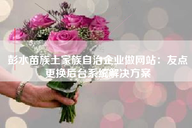 彭水苗族土家族自治企业做网站：友点更换后台系统解决方案