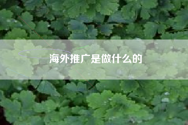 海外推广是做什么的