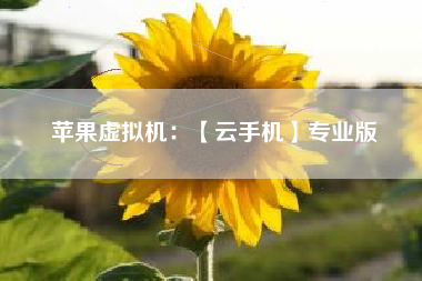 苹果虚拟机：【云手机】专业版