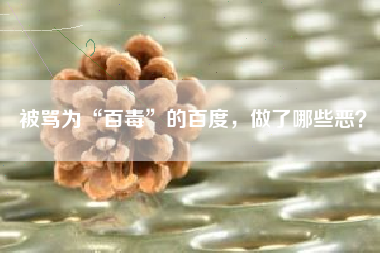 被骂为“百毒”的百度，做了哪些恶？