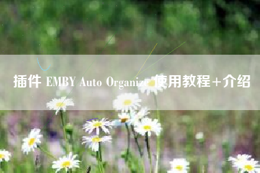 插件 EMBY Auto Organize 使用教程+介绍