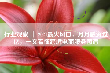 行业观察 ｜ 2021最火风口，月月融资过亿，一文看懂跨境电商服务图谱