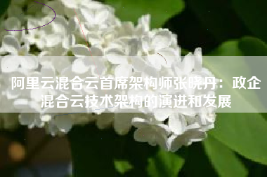 阿里云混合云首席架构师张晓丹：政企混合云技术架构的演进和发展