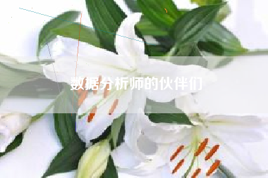 数据分析师的伙伴们