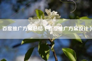 百度推广方案总结（百度推广方案设计）