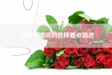 长尾关键词的选择要点简述