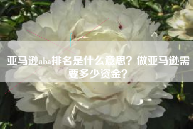 亚马逊aba排名是什么意思？做亚马逊需要多少资金？