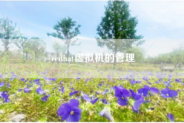 redhat虚拟机的管理