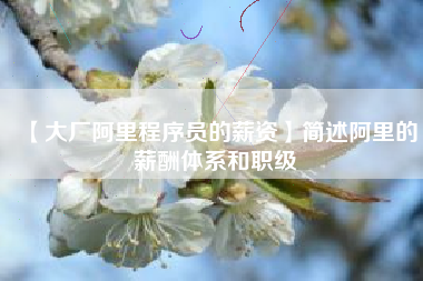 【大厂阿里程序员的薪资】简述阿里的薪酬体系和职级