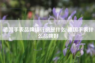 德国手表品牌排行榜是什么 德国手表什么品牌好