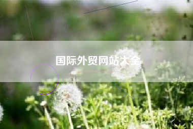 国际外贸网站大全 国际外贸网站大全