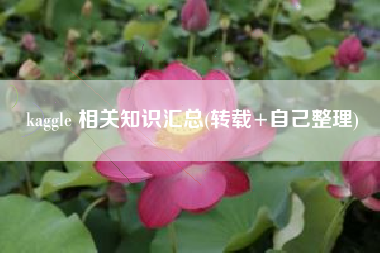 kaggle 相关知识汇总(转载+自己整理)