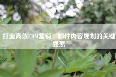 打造高效EDM营销：邮件内容规划的关键要素
